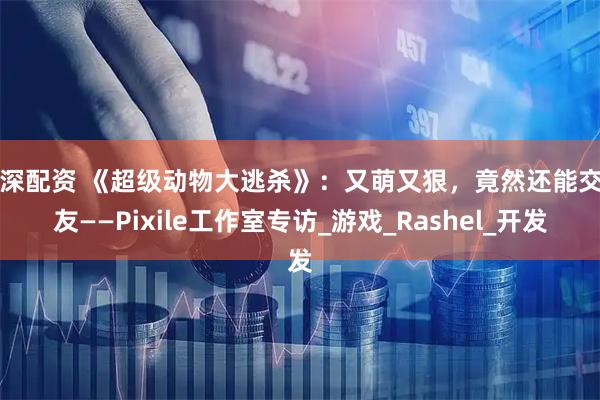 沪深配资 《超级动物大逃杀》：又萌又狠，竟然还能交朋友——Pixile工作室专访_游戏_Rashel_开发