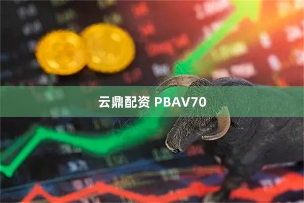 云鼎配资 PBAV70