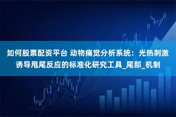 如何股票配资平台 动物痛觉分析系统：光热刺激诱导甩尾反应的标准化研究工具_尾部_机制