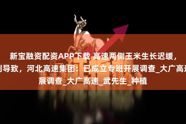 新宝融资配资APP下载 高速两侧玉米生长迟缓，村民怀疑除草剂导致，河北高速集团：已成立专班开展调查_大广高速_武先生_种植