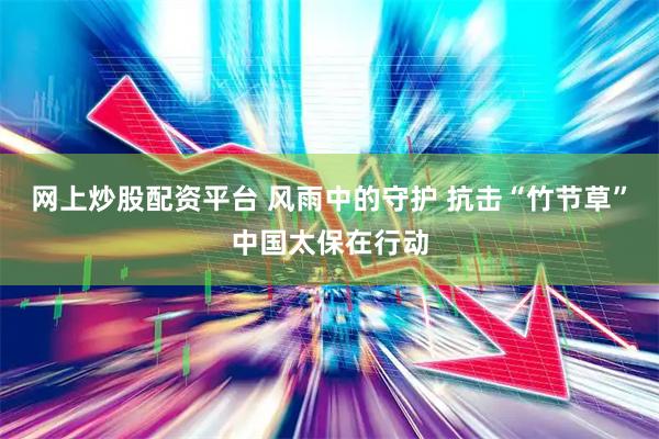 网上炒股配资平台 风雨中的守护 抗击“竹节草”中国太保在行动