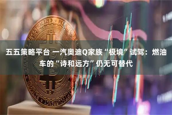 五五策略平台 一汽奥迪Q家族“极境”试驾：燃油车的“诗和远方”仍无可替代