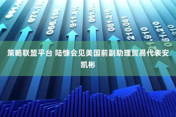 策略联盟平台 陆慷会见美国前副助理贸易代表安凯彬